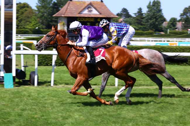 Photo d'arrivée de la course pmu PRIX GRAND ORDRE DU TROU NORMAND DES CALVADOS CIDRES & POMMEAU (PRIX DES COQUELICOTS) à CLAIREFONTAINE le Vendredi 11 juillet 2025