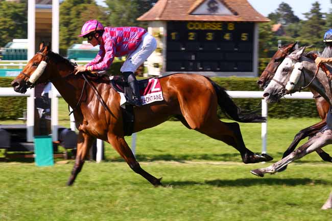 Photo d'arrivée de la course pmu PRIX DE LA CONFRERIE DES CHEVALIERS DES RILLETTES SARTHOISES (PRIX DE LA MARE AUX CANARDS) à CLAIREFONTAINE le Vendredi 11 juillet 2025