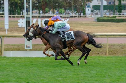 Photo d'arrivée de la course pmu PRIX DE VILLENEUVE-SUR-ALLIER à VICHY le Lundi 14 juillet 2025