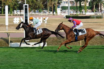 Photo d'arrivée de la course pmu PRIX DE CHAMBERAT à VICHY le Lundi 14 juillet 2025