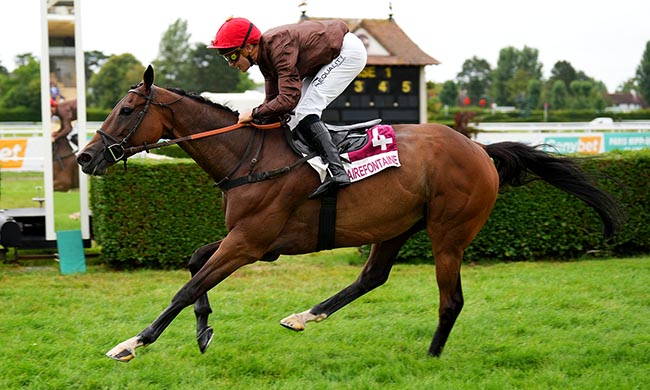 Photo d'arrivée de la course pmu PRIX GRANDEUR NATURE PAYS D'AUGE (PRIX DE PENNEDEPIE) à CLAIREFONTAINE le Mercredi 16 juillet 2025