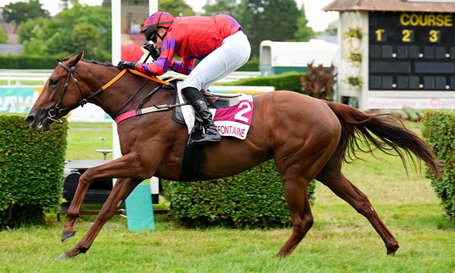 Photo d'arrivée de la course pmu PRIX CHOCOLATERIE HAMEL (PRIX DES CAPUCINES) à CLAIREFONTAINE le Mercredi 16 juillet 2025