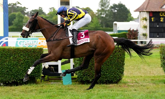 Photo d'arrivée de la course pmu PRIX MAISON JULO (PRIX REVENGE) à CLAIREFONTAINE le Mercredi 16 juillet 2025
