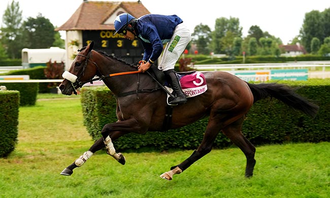Photo d'arrivée de la course pmu PRIX GENYBET (PRIX KATKO) à CLAIREFONTAINE le Mercredi 16 juillet 2025