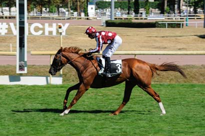 Photo d'arrivée de la course pmu PRIX MADAME JEAN COUTURIE à VICHY le Jeudi 17 juillet 2025