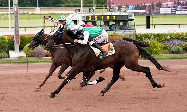 Photo d'arrivée de la course pmu PRIX FANDANGO à CABOURG le Vendredi 18 juillet 2025