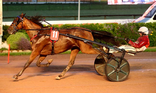 Photo d'arrivée de la course pmu PRIX SULKY PASSION à CABOURG le Vendredi 18 juillet 2025