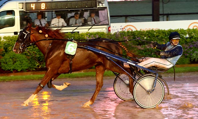 Photo d'arrivée de la course pmu PRIX NORMANDIE CABOURG PAYS D'AUGE à CABOURG le Vendredi 18 juillet 2025