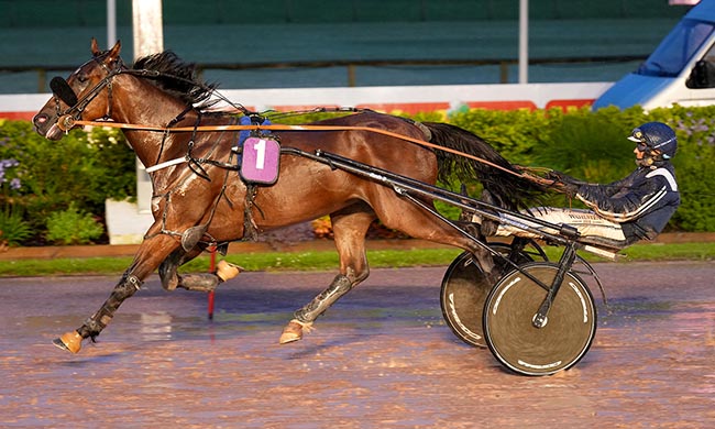 Photo d'arrivée de la course pmu PRIX DU CONSEIL DEPARTEMENTAL DU CALVADOS à CABOURG le Vendredi 18 juillet 2025