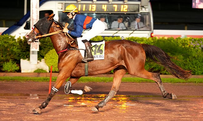 Photo d'arrivée de la course pmu PRIX DU CONSEIL DES CHEVAUX DE NORMANDIE à CABOURG le Vendredi 18 juillet 2025