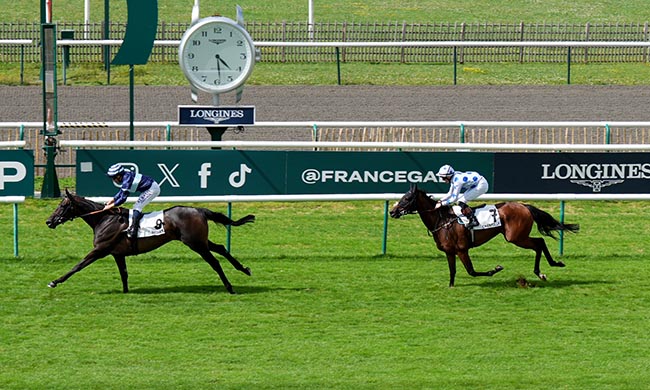 Photo d'arrivée de la course pmu PRIX DE LA PEPINIERE à CHANTILLY le Dimanche 20 juillet 2025