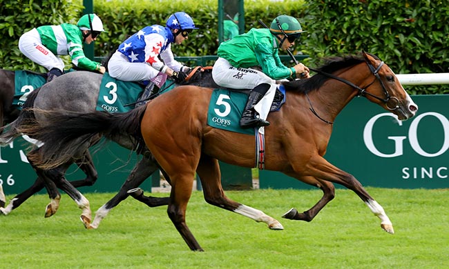 Photo d'arrivée de la course pmu GOFFS PRIX ROBERT PAPIN à CHANTILLY le Dimanche 20 juillet 2025
