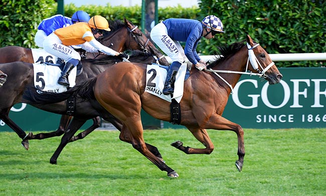 Photo d'arrivée de la course pmu PRIX DU PETIT CHATEAU à CHANTILLY le Dimanche 20 juillet 2025