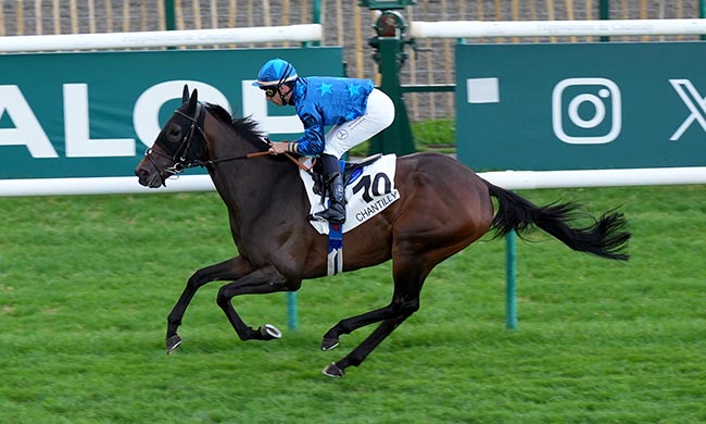 Photo d'arrivée de la course pmu PRIX SANS SOUCI II à CHANTILLY le Dimanche 20 juillet 2025