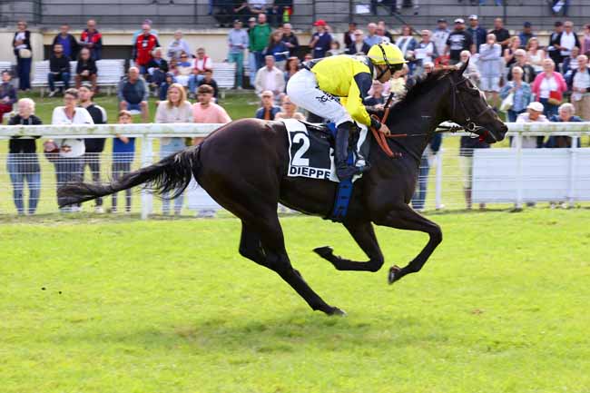 Photo d'arrivée de la course pmu PRIX DU PUITS D'ORLEANS à DIEPPE le Mardi 22 juillet 2025