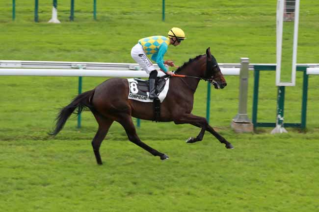 Photo d'arrivée de la course pmu PRIX DE VIEUX MOULIN à COMPIEGNE le Jeudi 24 juillet 2025