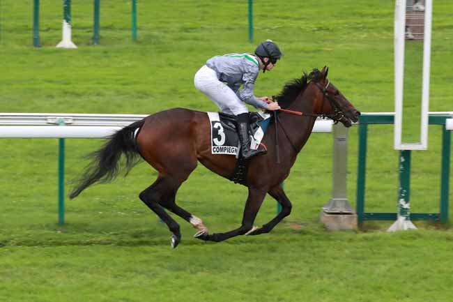 Photo d'arrivée de la course pmu PRIX EULALIE à COMPIEGNE le Jeudi 24 juillet 2025