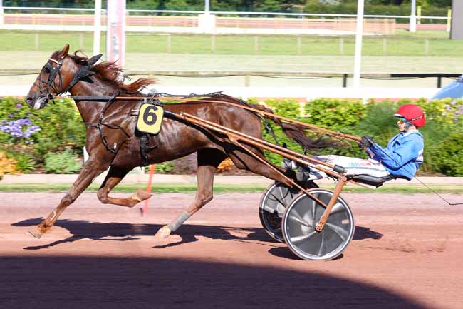 Photo d'arrivée de la course pmu PRIX MICHEL D'ORNANO à CABOURG le Vendredi 25 juillet 2025