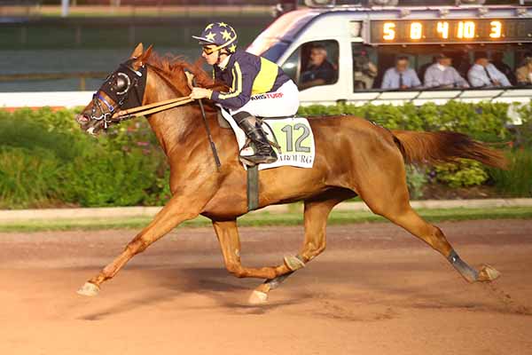 Photo d'arrivée de la course pmu PRIX DES EUPHRAISES à CABOURG le Vendredi 25 juillet 2025
