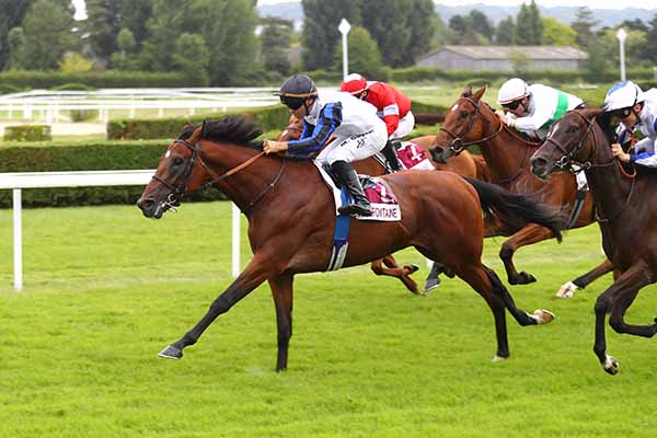 Photo d'arrivée de la course pmu PRIX BAMBOO EDITION (PRIX DE LA COUR RECTANGLE) à CLAIREFONTAINE le Samedi 26 juillet 2025