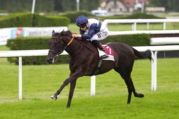 Photo d'arrivée de la course pmu PRIX CAMOMILLE & LES CHEVAUX (PRIX DES COSMOS) à CLAIREFONTAINE le Samedi 26 juillet 2025