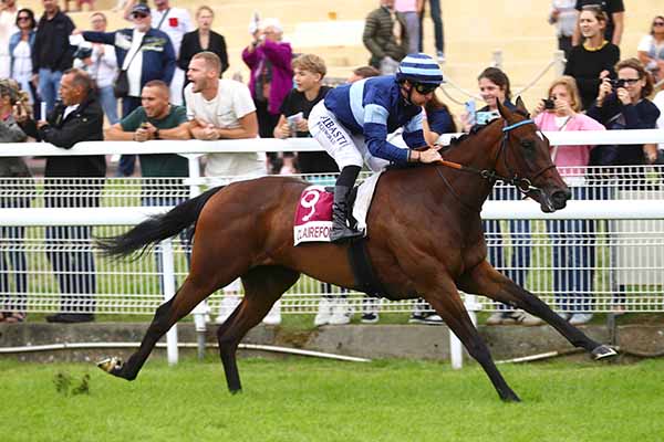 Photo d'arrivée de la course pmu PRIX TRIPLE GALOP (PRIX DU HAMEL) à CLAIREFONTAINE le Samedi 26 juillet 2025