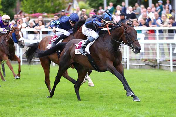 Photo d'arrivée de la course pmu PRIX LES SISTERS (PRIX DE BRUCOURT) à CLAIREFONTAINE le Samedi 26 juillet 2025