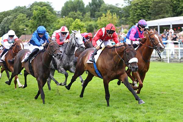 Photo d'arrivée de la course pmu PRIX LES PROFS (PRIX DES OEILLETS) à CLAIREFONTAINE le Samedi 26 juillet 2025