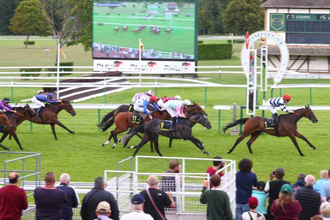 Photo d'arrivée de la course pmu PRIX DU PUITS DE BERNE à COMPIEGNE le Mardi 29 juillet 2025
