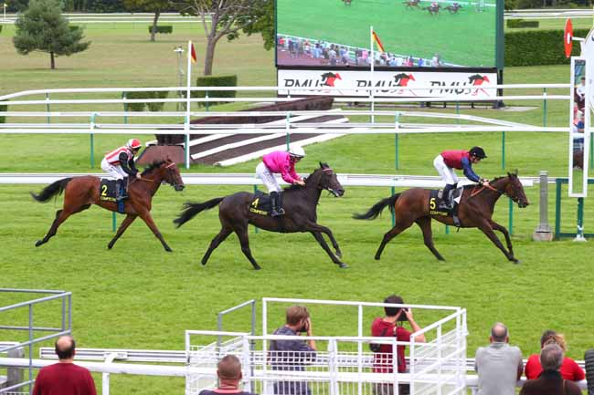 Photo d'arrivée de la course pmu PRIX DE DRESLINCOURT à COMPIEGNE le Mardi 29 juillet 2025