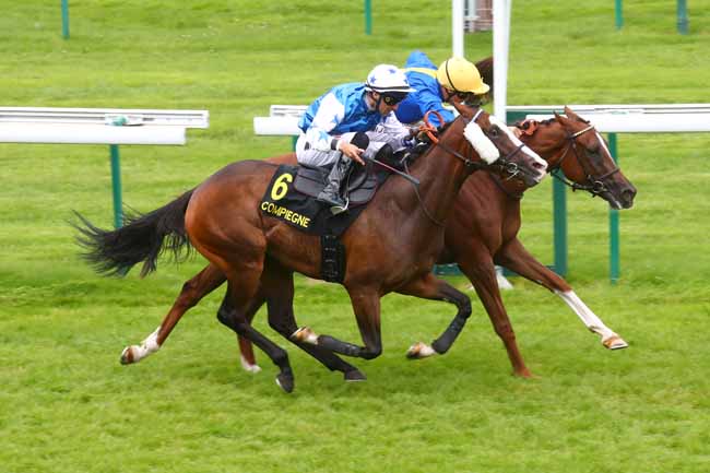 Photo d'arrivée de la course pmu PRIX DES BORDS DE L'AISNE à COMPIEGNE le Mardi 29 juillet 2025