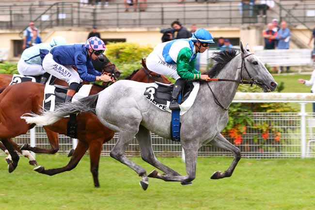 Photo d'arrivée de la course pmu PRIX TOYOTA PROFESSIONAL (PRIX DE LA PORTE DE TOURELLES) à DIEPPE le Jeudi 31 juillet 2025