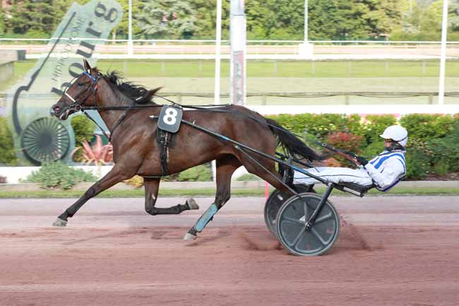 Photo d'arrivée de la course pmu PRIX DES ARNOSERIS à CABOURG le Vendredi 1 août 2025