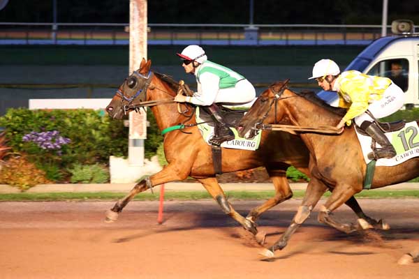 Photo d'arrivée de la course pmu PRIX DES LILAS à CABOURG le Vendredi 1 août 2025