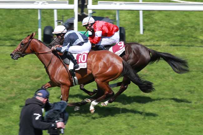 Photo d'arrivée de la course pmu PRIX DE LA JEUNESSE-LAUREATS ACADEMIE DU PAYS D'AUGE à CLAIREFONTAINE le Samedi 2 août 2025