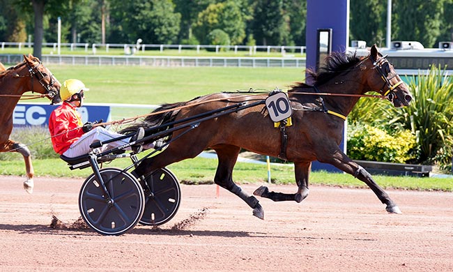 Photo d'arrivée de la course pmu PRIX DE LA PORTE DOREE à ENGHIEN le Dimanche 3 août 2025