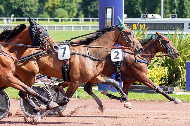 Photo d'arrivée de la course pmu PRIX DE MORANGIS à ENGHIEN le Dimanche 3 août 2025