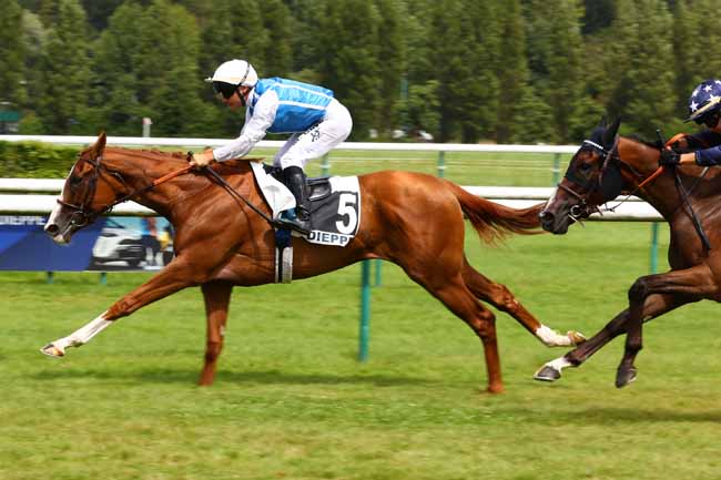 Photo d'arrivée de la course pmu PRIX AMPHITRITE à DIEPPE le Lundi 4 août 2025