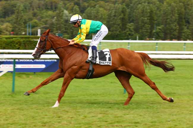 Photo d'arrivée de la course pmu PRIX DE LA TOUR SAINT-REMY à DIEPPE le Lundi 4 août 2025