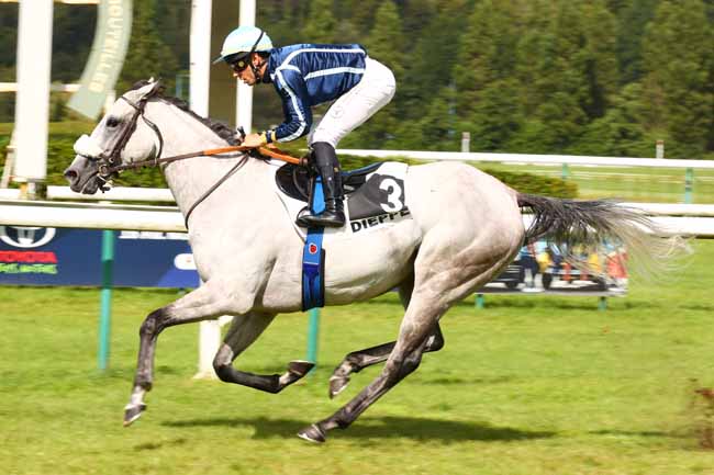 Photo d'arrivée de la course pmu PRIX DES ATELIERS DJSL BOIS (PRIX ABRAHAM DEPANNAGE) à DIEPPE le Lundi 4 août 2025