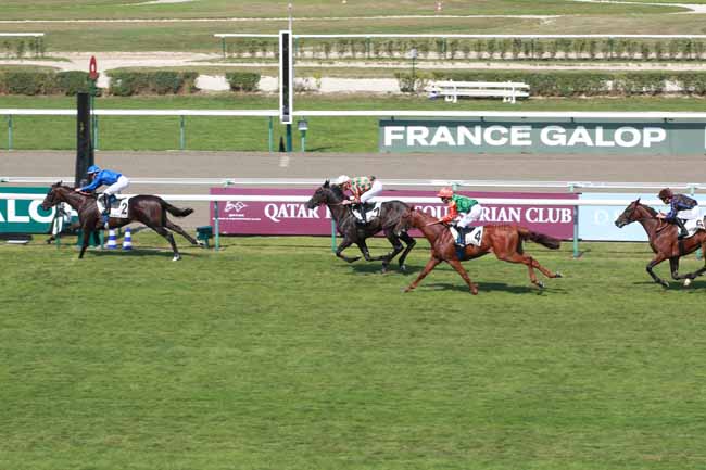 Photo d'arrivée de la course pmu PRIX D'ETREHAM - FONDS EUROPEEN DE L'ELEVAGE à DEAUVILLE le Mardi 5 août 2025