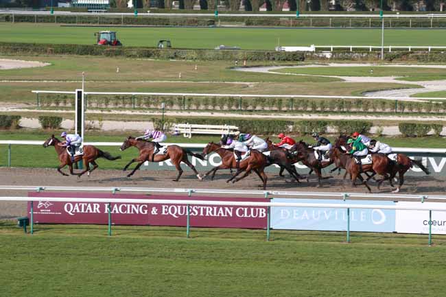 Photo d'arrivée de la course pmu PRIX DE PONT-L'EVEQUE à DEAUVILLE le Mardi 5 août 2025