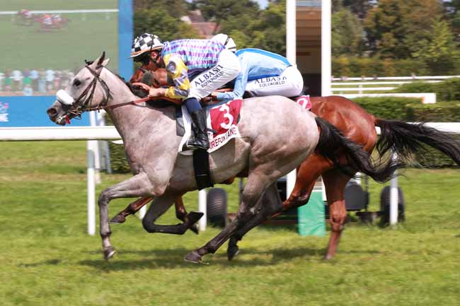 Photo d'arrivée de la course pmu PRIX BELLE RETRAITE ODILE ! (PRIX DES GLAIEULS) à CLAIREFONTAINE le Mercredi 6 août 2025