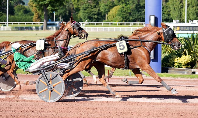 Photo d'arrivée de la course pmu PRIX DE LA HAUTE-SAONE à ENGHIEN le Jeudi 7 août 2025
