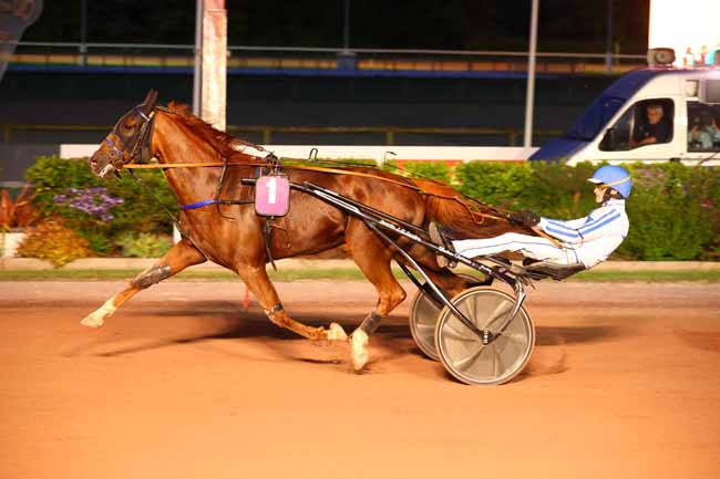 Photo d'arrivée de la course pmu PRIX DES NIVEOLES à CABOURG le Vendredi 8 août 2025