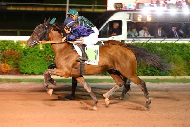Photo d'arrivée de la course pmu PRIX DES IFS à CABOURG le Vendredi 8 août 2025