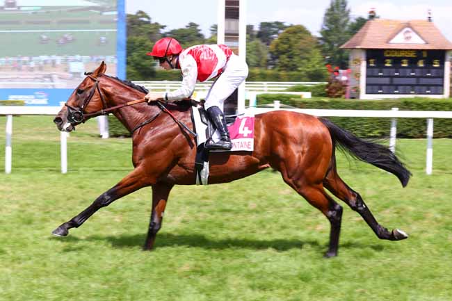 Photo d'arrivée de la course pmu PRIX BON ENTENDEUR - L'AMOUR A LA PLAGE (PRIX MISTI) à CLAIREFONTAINE le Vendredi 8 août 2025
