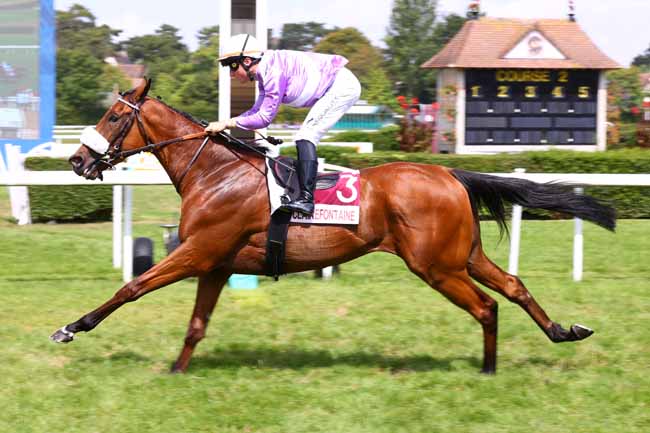 Photo d'arrivée de la course pmu PRIX YUKSEK - CADENZA (PRIX GRIS VITESSE) à CLAIREFONTAINE le Vendredi 8 août 2025