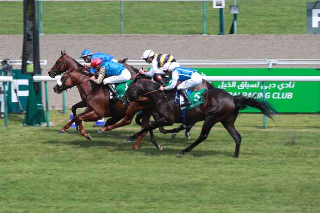 Photo d'arrivée de la course pmu PRIX DUBAI RACING CLUB (PRIX DE REUX) à DEAUVILLE le Samedi 9 août 2025