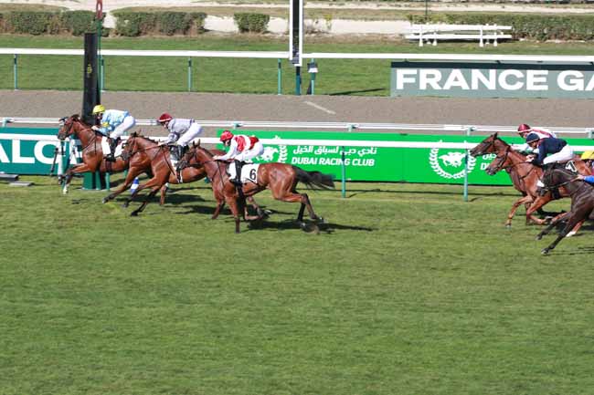 Photo d'arrivée de la course pmu PRIX DE FALAISE à DEAUVILLE le Samedi 9 août 2025